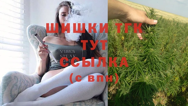 соль ск Бородино