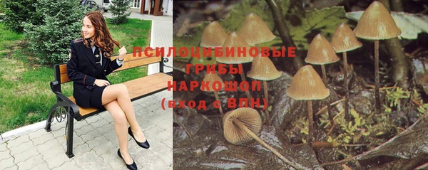 соль ск Бородино
