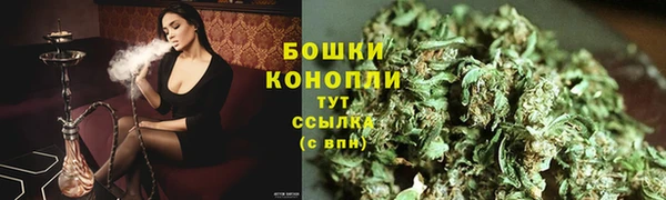 соль ск Бородино