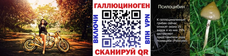 Купить где  Вольск  Галлюциногенные грибы Psilocybine cubensis 